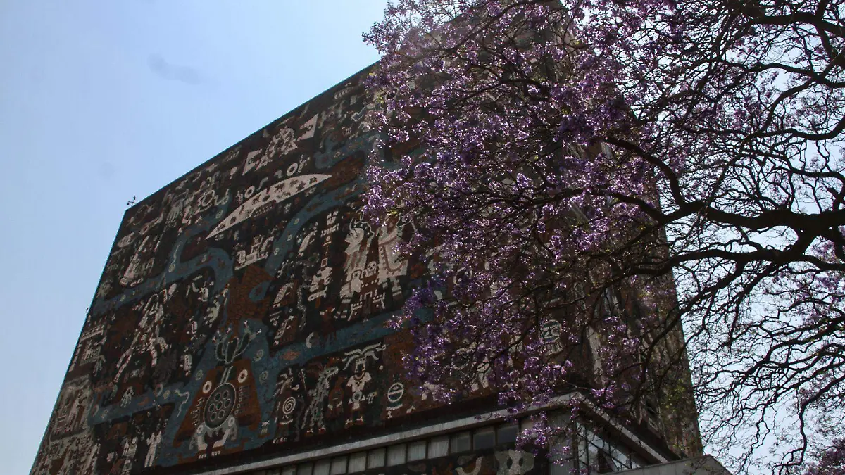 807022_Jacarandas Ciudad Universitaria-4_web